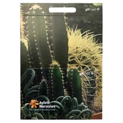 Aylett Gift Card - Cacti